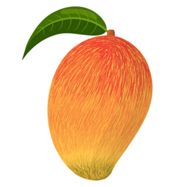 vector image of a mango